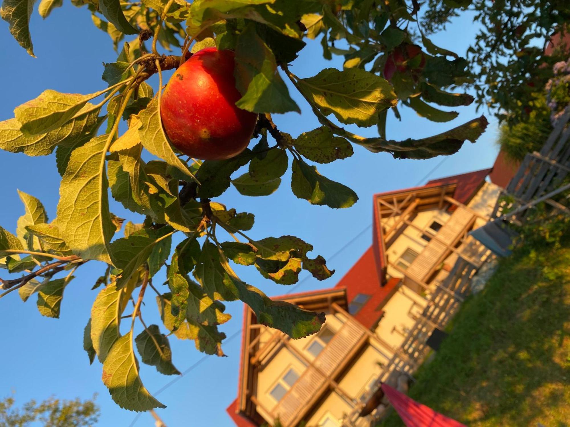 Fugger Alm Aparthotel Weichselbaum Bagian luar foto